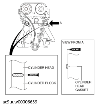 G11436853