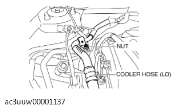 G11437313