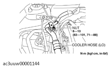 G11437344