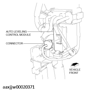 G11449435