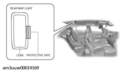 G11449600