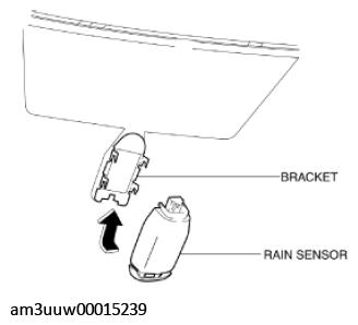 G11453036
