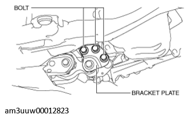 G11539546