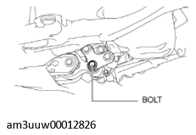 G11539549