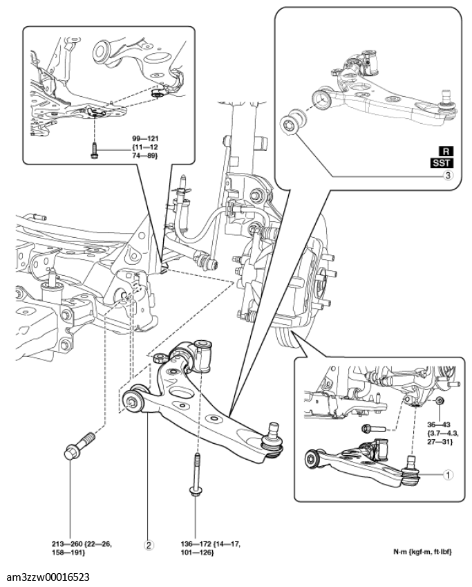 G11539564