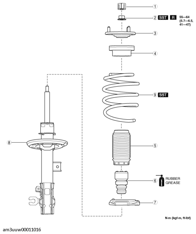 G11539568