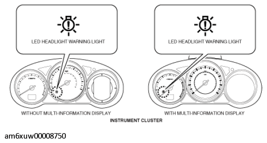 G11555385