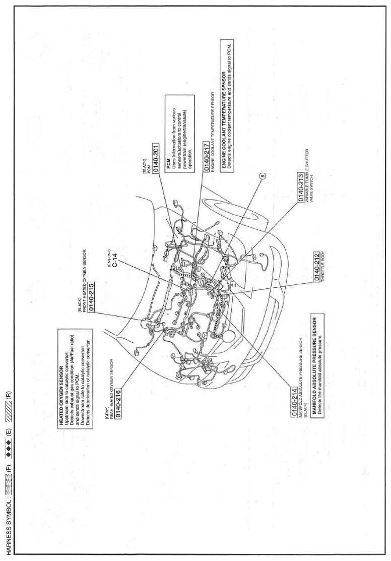 G11559184