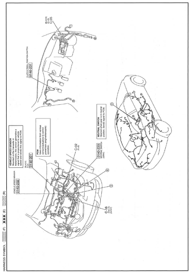 G11559190
