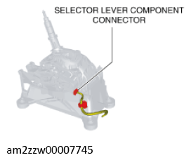 G11637838