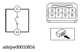 G11637839