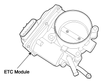 G11643628