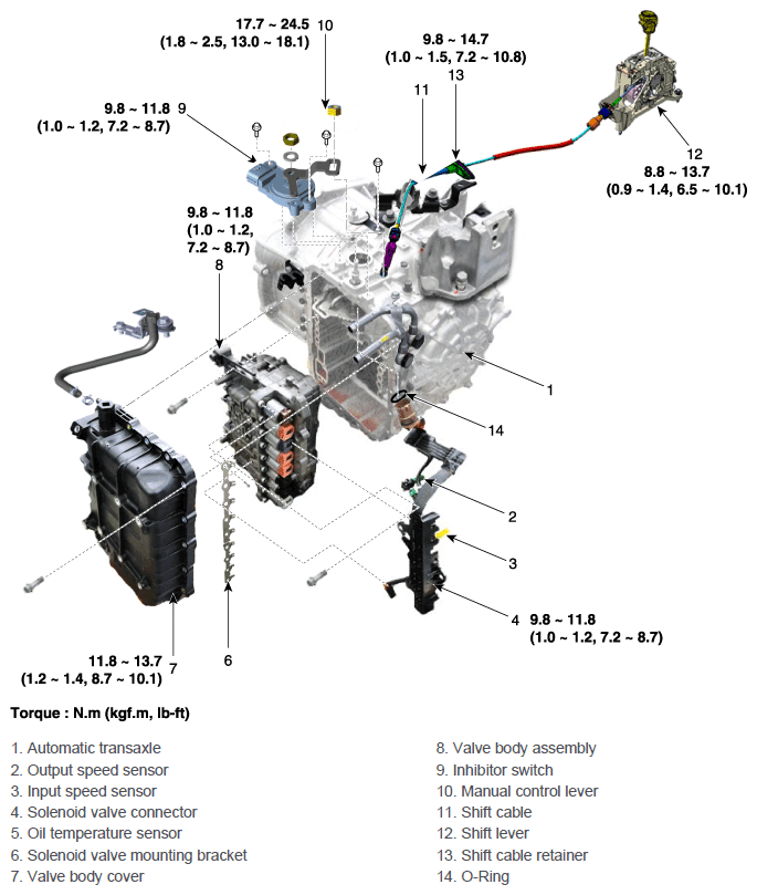 G11643861