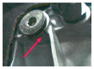 G11663213