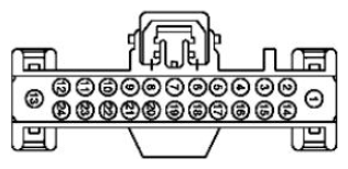 G11681610