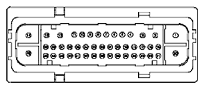G11681822