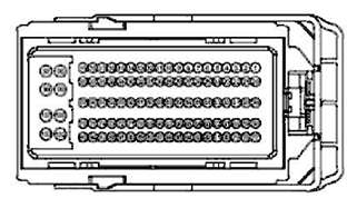 G11681824