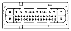 G11681960
