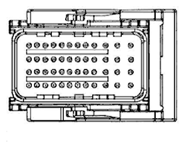 G11682004