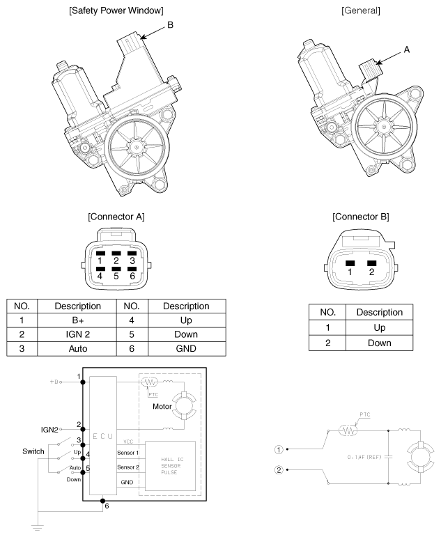 G11786045