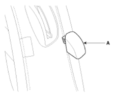 G11791833