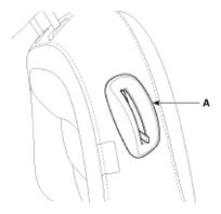 G11791834