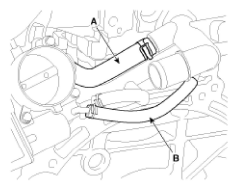 G11793341