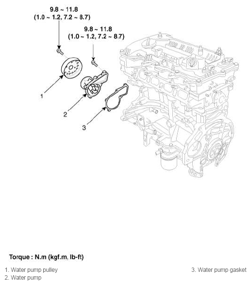 G11793343