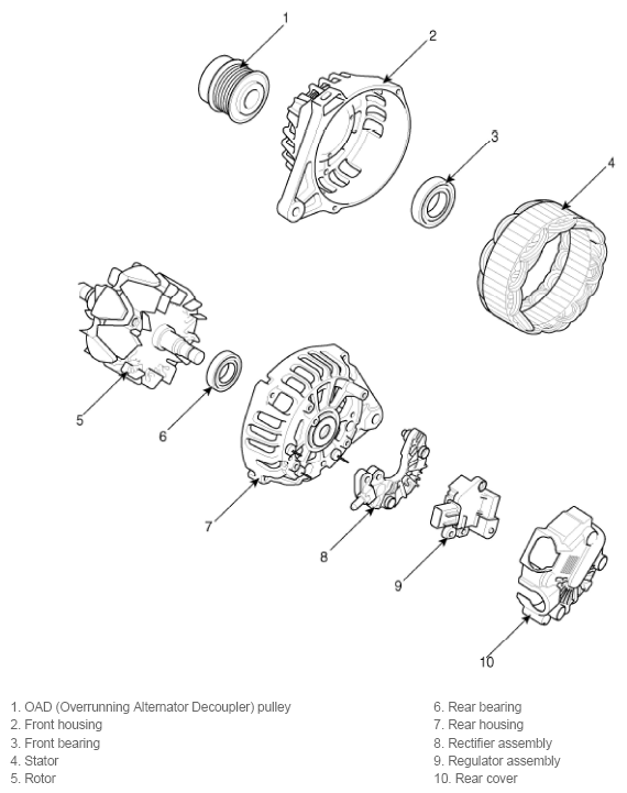 G11793432