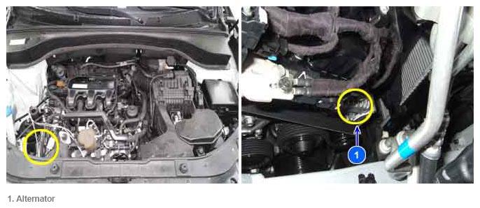 G11793498