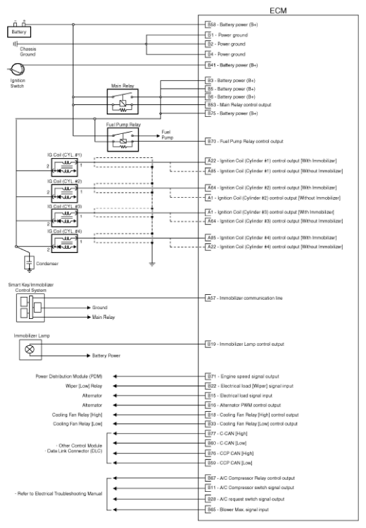 G11793805