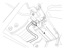 G11793968