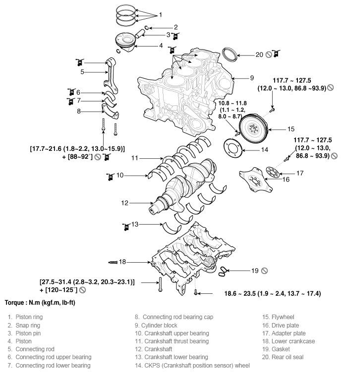 G11796609