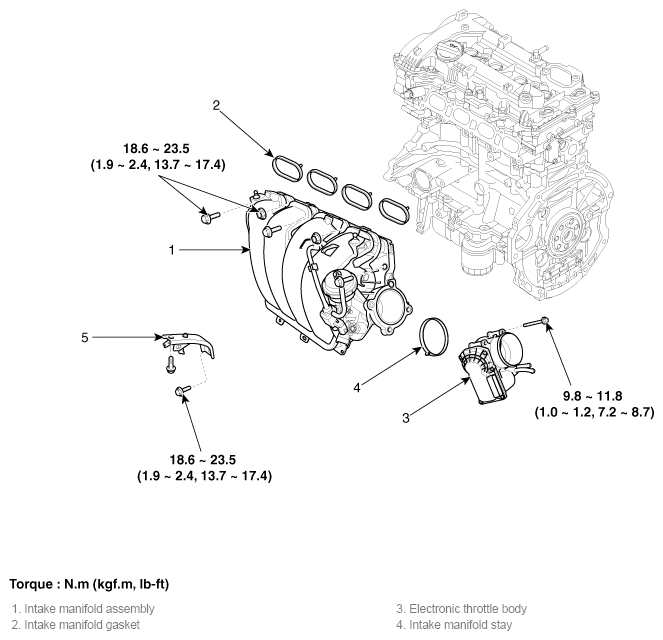 G11796717