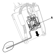 G11797045