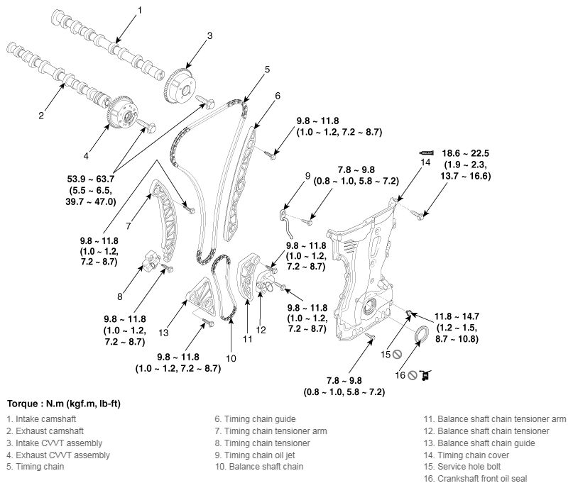 G11815213