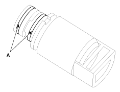 G11845558