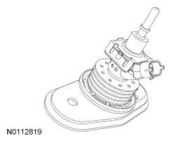 G11852706