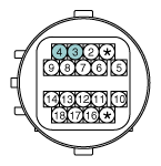 G11862450