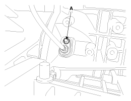 G11865567
