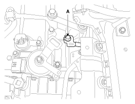 G11865958
