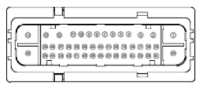 G11915479