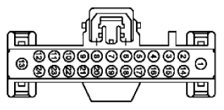 G11915496