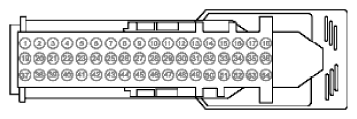G11915501