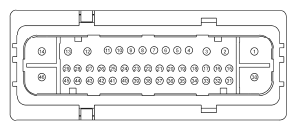 G11915511