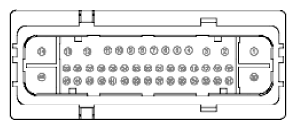 G11915538