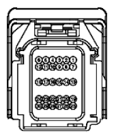 G11915541