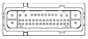 G11915566
