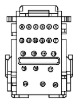 G11915634