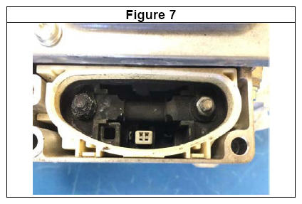 G11942169